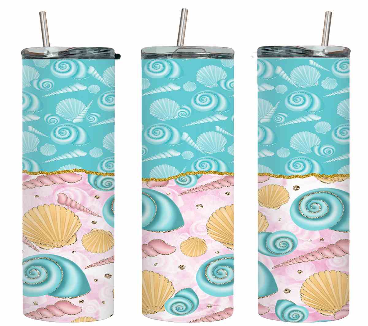 Sea Shells-10609